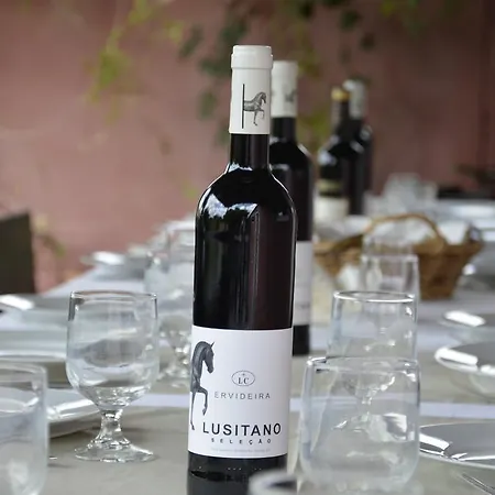 Casal Dos Crespos - Casa De Campo 펜션 칼다스하이냐