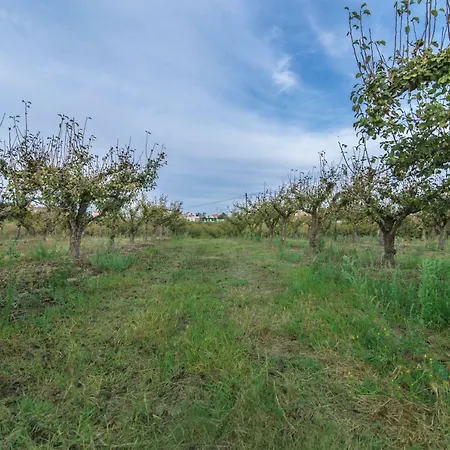 Casal Dos Crespos - Casa De Campo 펜션 *